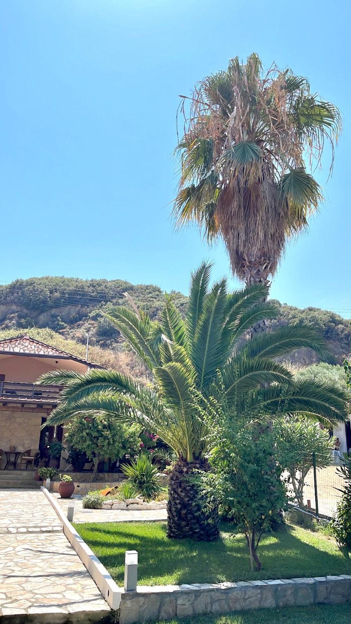 Palma Beach House Sarti Exterior photo