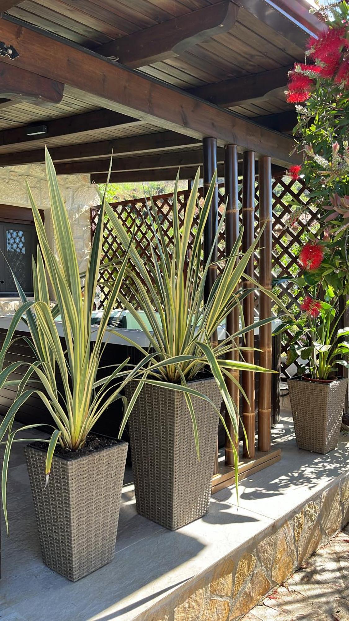 Palma Beach House Sarti Exterior photo